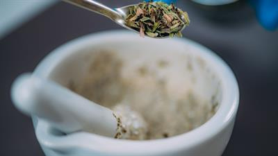 Cover image for research topic "New Insights in the Pharmacological Research, Quality Control, and Pharmaceutical Analysis of Panax Notoginseng"