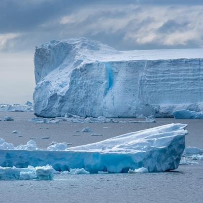 Cover image for research topic "Microbial Biodiversity and Bioprospecting in Polar Ecosystems in the Genomics Era"