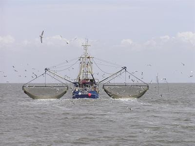 Cover image for research topic "Challenges and Opportunities for The EU Common Fisheries Policy application in The Mediterranean and Black Sea"