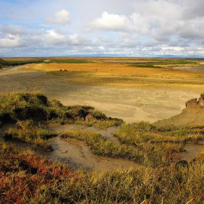 Cover image for research topic "Vegetation-based Degradation and Restoration on the Alpine Grasslands of the Tibetan Plateau"