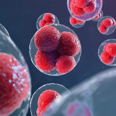 Cover image for research topic "Omics Technologies and the Applications in Reproductive Medicine"