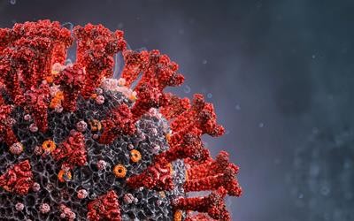 Cover image for research topic "Respiratory RNA Viruses: Molecular Mechanisms of Viral Replication and Pathogenicity"