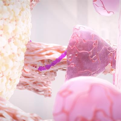 Cover image for research topic "Multisystem Inflammatory Syndrome observed Post-COVID-19: The Role of Natural Products, Medicinal Plants and Nutrients and the use of Prediction Tools Supporting Traditional Forms of Diagnosis"
