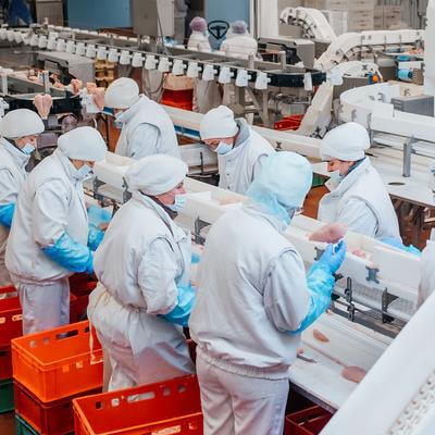 Cover image for research topic "Technologies to Address Risk Assessment, Food Safety and Public Health in Food Production Chain"