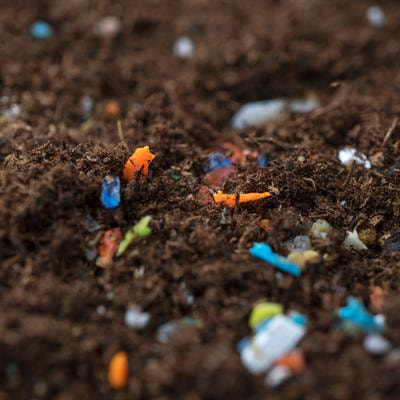 Cover image for research topic "Interaction of Nano and Microplastic With Different Plant Species: Concerns and Opportunities"