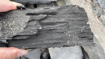 Cover image for research topic "Organic Matter Accumulation in Organic-Rich Shales"