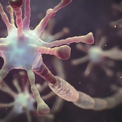 Cover image for research topic "COVID-19 and the brain - the dawn of a new era in neuroinflammation and demyelination"