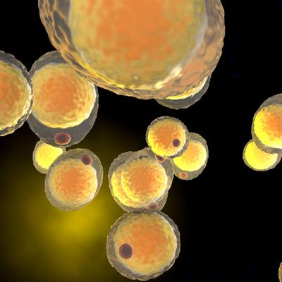 Cover image for research topic "Hormonal Regulation of Glucose and Lipid Metabolism in Metabolic Diseases"