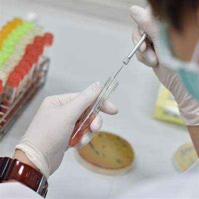 Cover image for research topic "Molecular Diagnosis and Epidemiology of Human Pathogens"