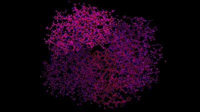 Cover image for research topic "Molecular Mechanism and Target Study of Antimicrobial Agents"