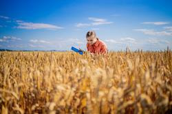Cover image for research topic "Inherent Relationship of Water, Nutrients and Phytohormones and Its Impact on Plant Yield, Quality and Productivity"