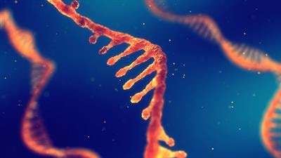 Cover image for research topic "The Role of Exosomal RNA and Protein in Drug Resistance of Cancer and Anti-cancer Immune"