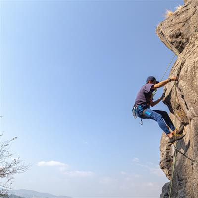 Cover image for research topic "Protocols to Success: All the Shots you Took Running up that Hill"