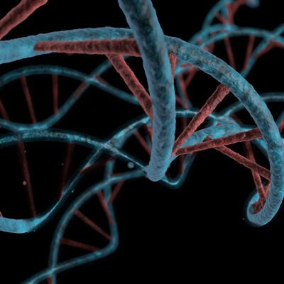 Cover image for research topic "Microbial Comparative Genomics and Pangenomics: New Tools, Approaches And Insights Into Gene and Genome Evolution"