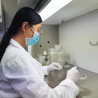 Cover image for research topic "Economic Plant Genome and Database Construction and Research"