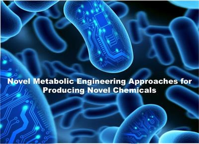 Cover image for research topic "Novel Metabolic Engineering Approaches for Producing Novel Chemicals"