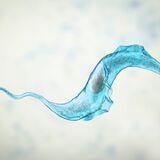 Cover image for research topic "Polymerase Chain Reaction technique for Chagas Disease: challenges and limitations"