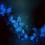 Cover image for research topic "New Developments in Bioinorganic and Bioorganic Chemistry"