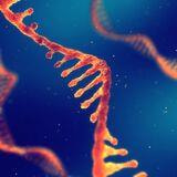 Cover image for research topic "RNA Binding Proteins in Neuroscience"