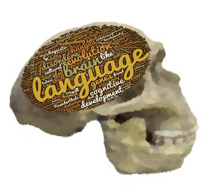 Cover image for research topic "Language at the Interface Between the Skull and the Brain"