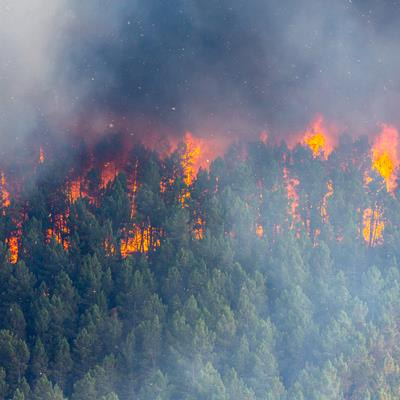 Cover image for research topic "Spatial and Temporal Monitoring of Wildfire Hazard Under a Climate Change Environment: Prevention, Mitigation and Management"