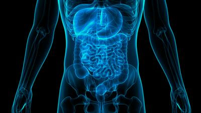 Cover image for research topic "The Roles of Pathogens in Gut-Related Diseases and the Strategies for Inhibiting Their Growth"