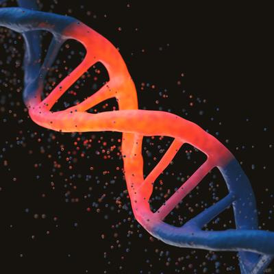 Cover image for research topic "Community Series in Epigenetic Regulation in Cardiovascular Diseases, Volume III"