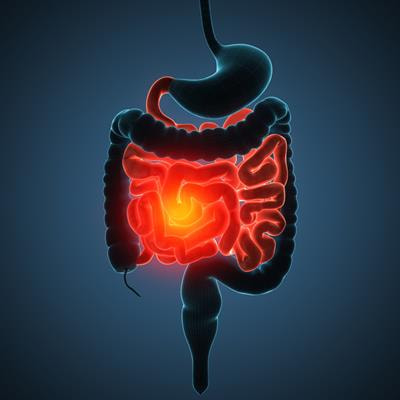 Cover image for research topic "Pediatric Inflammatory Bowel Diseases: Looking to the Future"