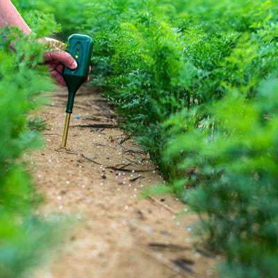 Cover image for research topic "Efficient Nitrogen Fertilizer Management to Improve Crop Production"