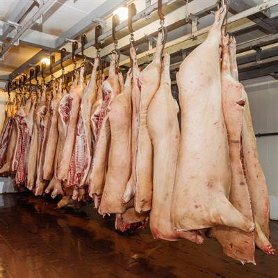 Cover image for research topic "Slaughterhouses as Sources of Data for Animal Health Intelligence"