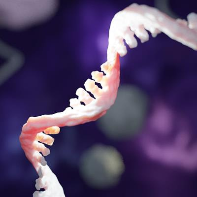 Cover image for research topic "RNA-Binding Proteins in Cancer: Function and Gene Regulation"