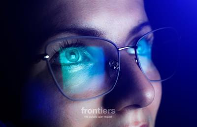 Cover image for research topic "Internet Deviance"