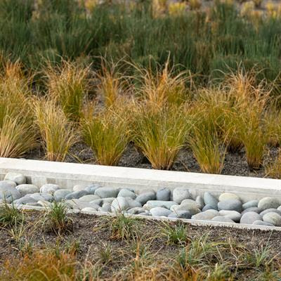 Cover image for research topic "Advances in Ecotechnologies for the Control of Non-Point Source Pollution in Agricultural and Urban Watersheds"