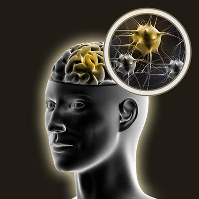 Cover image for research topic "From Single Neurons to Brain Complexity and Human Behavior"