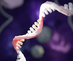 Cover image for research topic "Non-Coding RNA-Based Therapeutic Targets and Genetic Disorder: New Players in Old Arena"