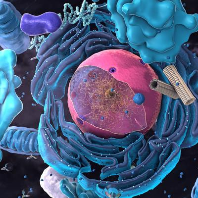 Cover image for research topic "Intracellular ion channels in health and disease"