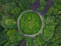 Cover image for research topic "Plant Natural Resins: From Formation Mechanism to Ecological Significance"