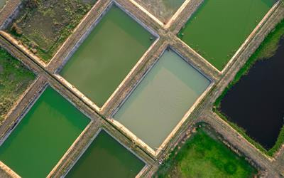 Cover image for research topic "Sustainable Nitrogen Removal in Emerging Pollutant Contaminated Wastewater: Technology, Application and Risk Assessment"