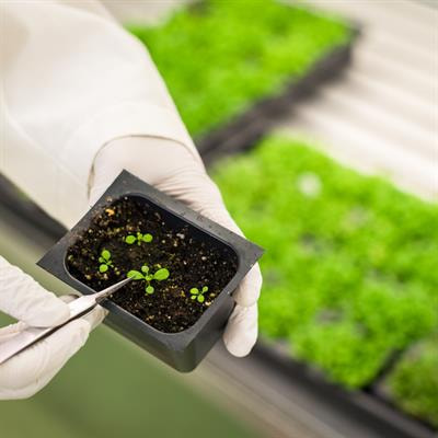 Cover image for research topic "Omics Techniques to Optimize Plant-Microbe Interactions under Climate Change"