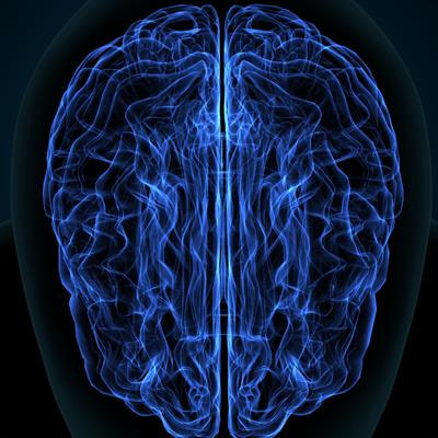 Cover image for research topic "Regulation of AMPA Receptors in Brain Diseases, From the Genetic to the Functional Level - Volume II"
