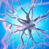 Cover image for research topic "Basic and Clinical Research on Neurostimulation Techniques in Major Depressive Disorder"