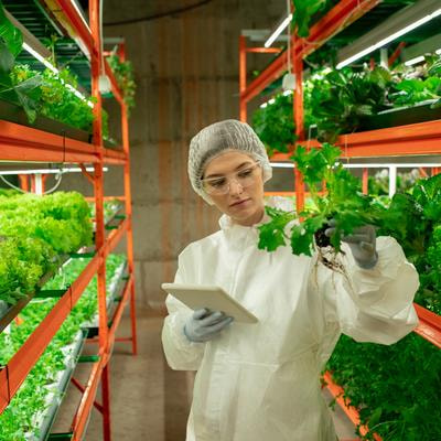 Cover image for research topic "Women in Plant Science - Linking Genome to Phenome"
