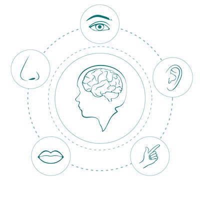 Cover image for research topic "Emerging Sensory Neuroprosthetics: Feasibility, Efficacy, and Metrics"