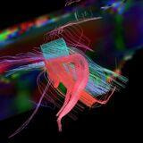 Cover image for research topic "The Legacy of Dr. Roger W. Sperry: Current Advances in Brain Lateralization and Interhemispheric Transfer in Animal Models"