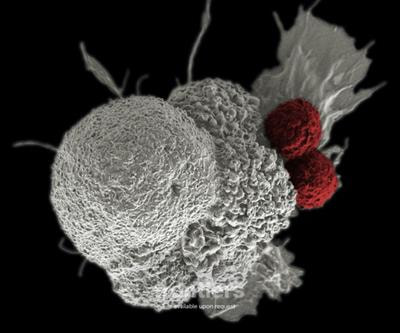 Cover image for research topic "Developing next-generation therapeutics to defeat mutation-driven cancer"