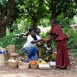 Cover image for research topic "Quality of Food Products Associated with Marketing Venues and Scales"
