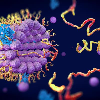 Cover image for research topic "Purinergic Signaling in Metabolic Diseases and Inflammation Pharmacology"