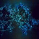 Cover image for research topic "Interferon response against viral infections"