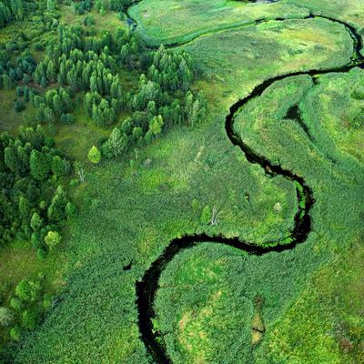 Cover image for research topic "Plant-Based Solutions for Ecosystem Quality Assessment and Remediation Strategies"