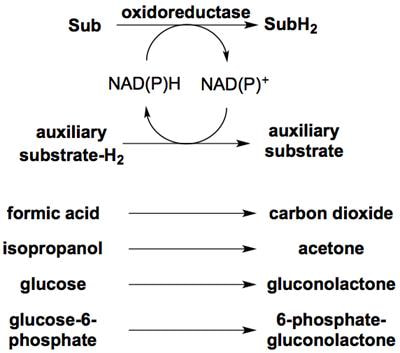 Cover image for research topic "New Concepts for Co-Factor-Dependent Enzymatic Reactions"